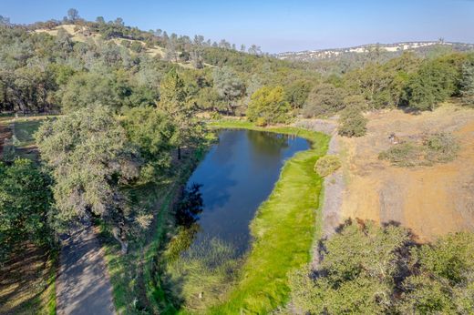Arsa Lincoln, Placer County
