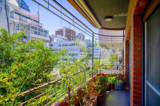 Detached House in Buenos Aires, Buenos Aires F.D.