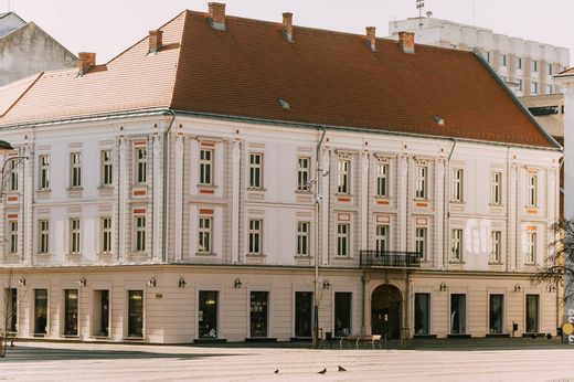 Maison de luxe à Timişoara, Municipiul Timişoara