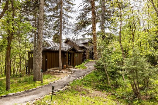 Apartment / Etagenwohnung in Sundance, Utah County