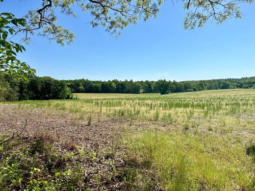 Culpeper, Culpeper Countyの土地