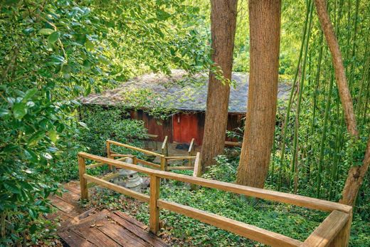 Arsa McLean, Fairfax County