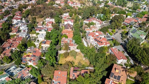 Участок, Miguel Hidalgo, Ciudad de México