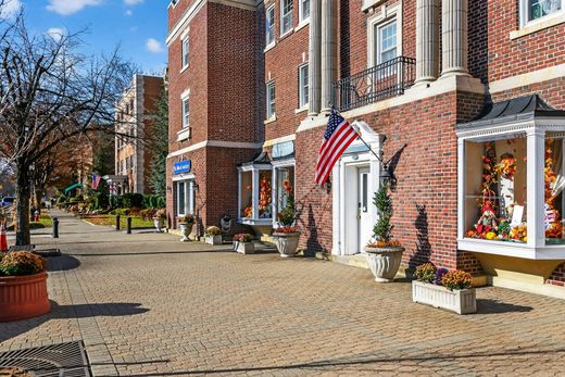 Luksusowy dom w Garden City, Nassau County