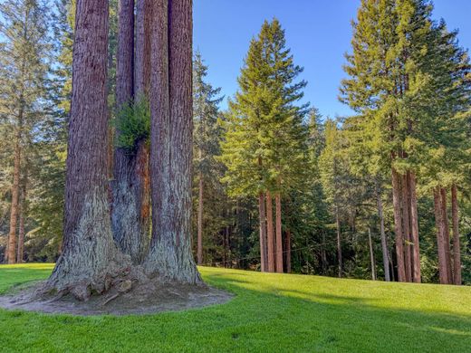 Terreno - Fort Bragg, Mendocino County
