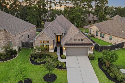 独立式房屋  Conroe, Montgomery County