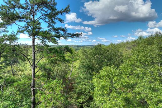 Teren w Mineral Bluff, Fannin County