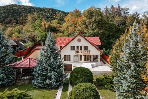 Müstakil ev Tulnici, Comuna Tulnici