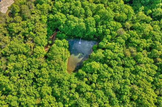 Land in Morganton, Fannin County