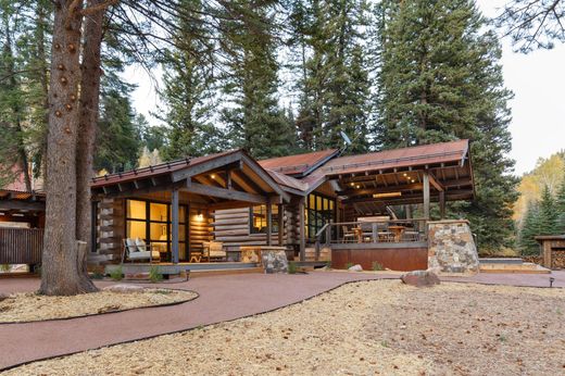 Luxe woning in Dolores, Montezuma County