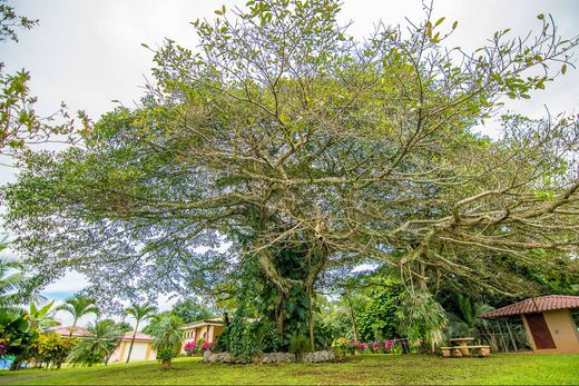 Casa di lusso a San Mateo, Provincia de Alajuela