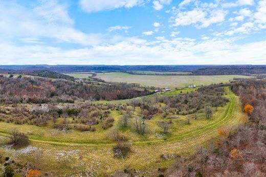 Arsa Coxs Creek, Nelson County