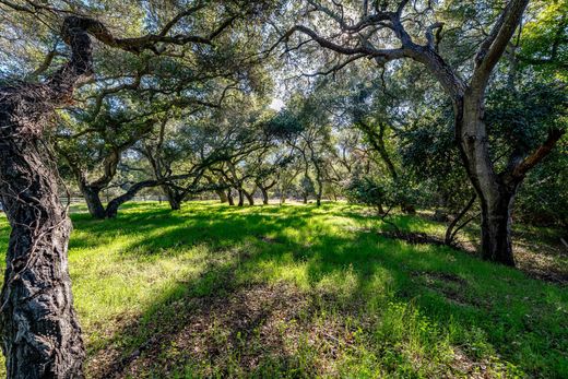 Αγροτεμάχιο σε Carmel Valley, Monterey County