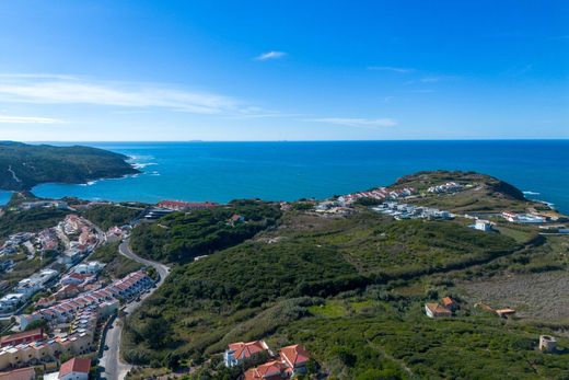 Terreno a Alcobaça, Distrito de Leiria