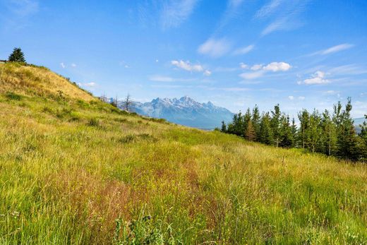 Участок, Джексон, Teton County