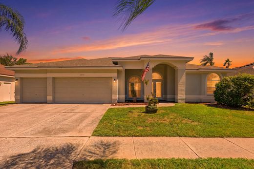 Luxury home in Riverview, Hillsborough County