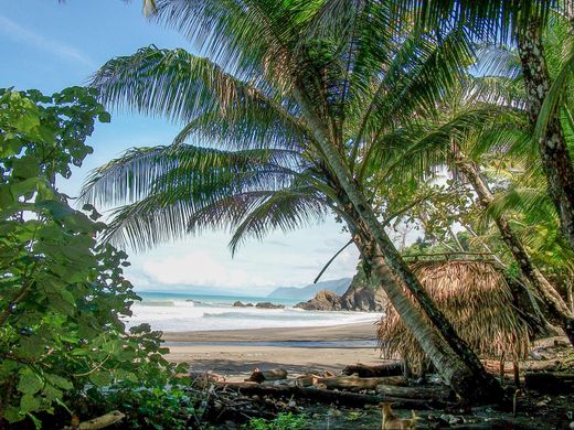 Terreno - Golfito, Provincia de Puntarenas