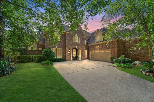 Vrijstaand huis in The Woodlands, Montgomery County