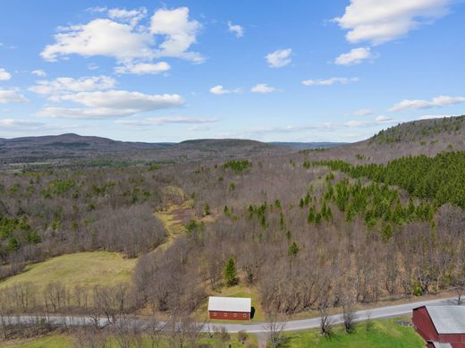 Terreno - Conesville, Schoharie County