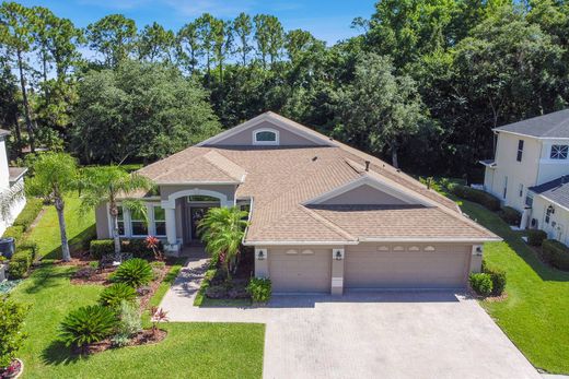 Einfamilienhaus in Tampa Oaks, Hillsborough County