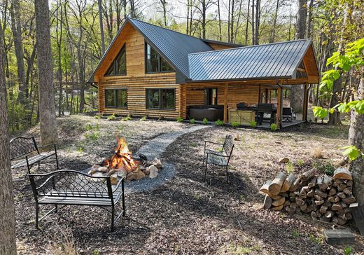 단독 저택 / Morganton, Fannin County