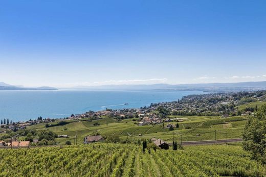 Detached House in Lutry, Lavaux-Oron District