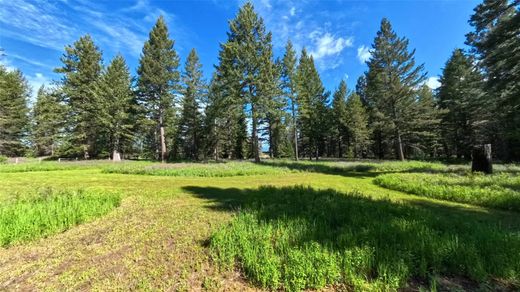 Teren w Columbia Falls, Flathead County