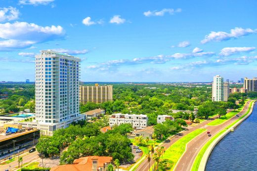 Tampa, Hillsborough Countyのアパートメント