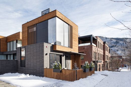 复式住宅  Aspen, Pitkin County