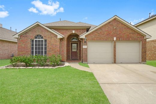 단독 저택 / Tomball, Harris County