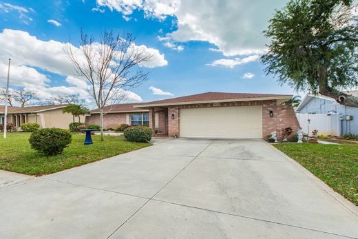 Частный Дом, Seminole, Pinellas County