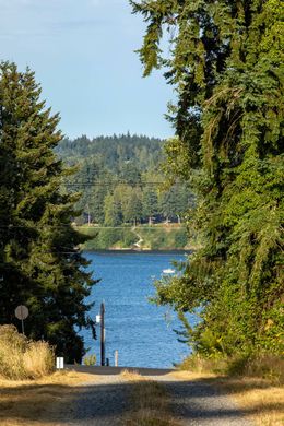 Arsa Freeland, Island County