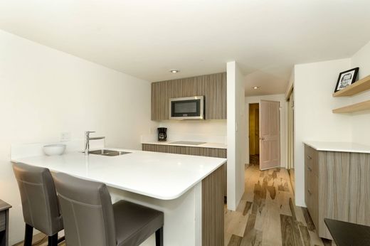 Apartament w Aspen, Pitkin County