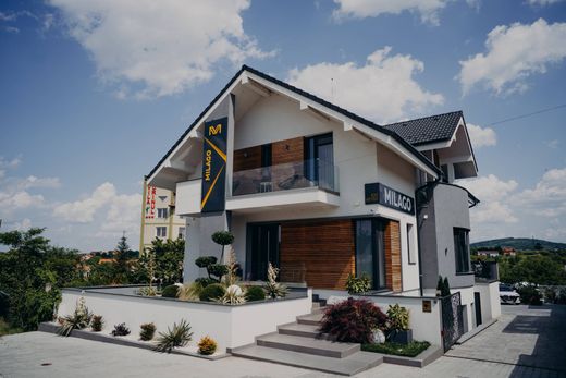 Villa in Sânmartin, Comuna Macea