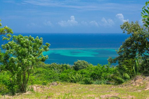 Αγροτεμάχιο σε Roatán