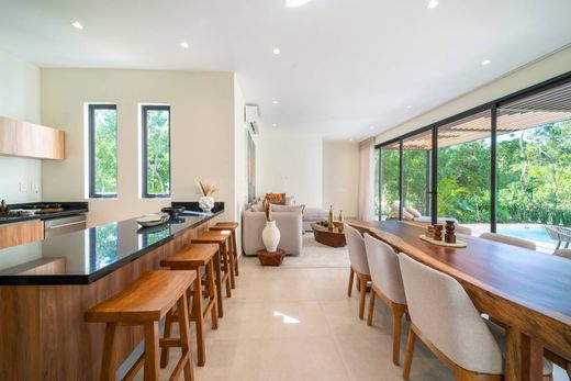 独立式房屋  Solidaridad, 金塔納羅奥州