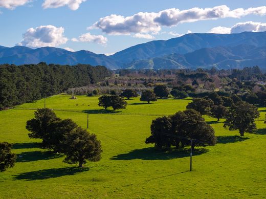 Grond in Greytown, South Wairarapa District