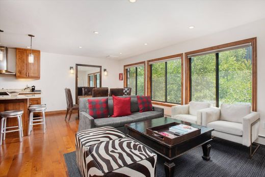 아파트 / 아스펜, Pitkin County