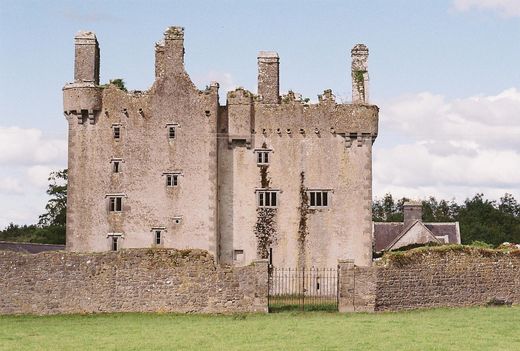 Zamek w Ballingarry, County Tipperary