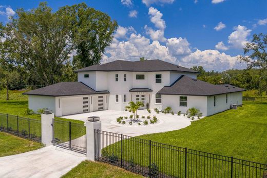 Casa Unifamiliare a Lutz, Hillsborough County