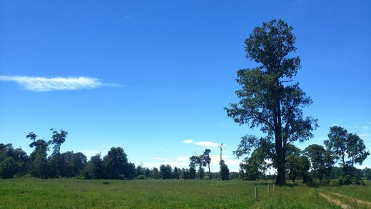 郊区住宅  Osorno, Provincia de Osorno