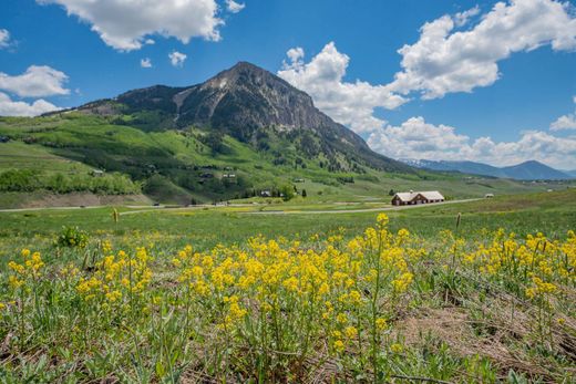 Crested Butte, Gunnison Countyの土地