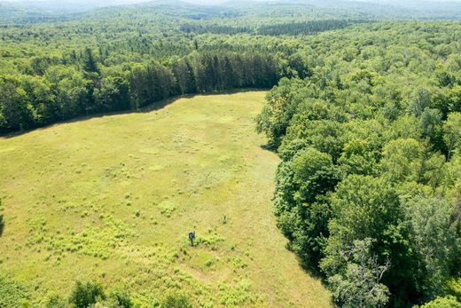 Arsa Peru, Bennington County