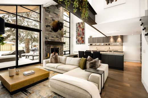 Duplex in Aspen, Pitkin County