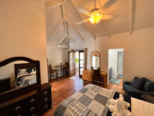 Stadthaus in Tortola