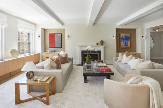 豪宅  紐約市, 纽约州