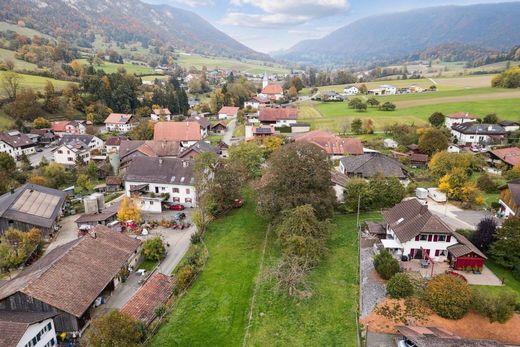 Land in Grandval, Jura bernois