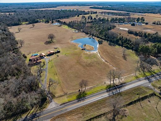 Casa de campo en Palestine, Anderson County