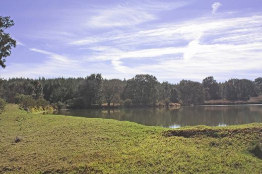 Terrain à Amealco, Amealco de Bonfil