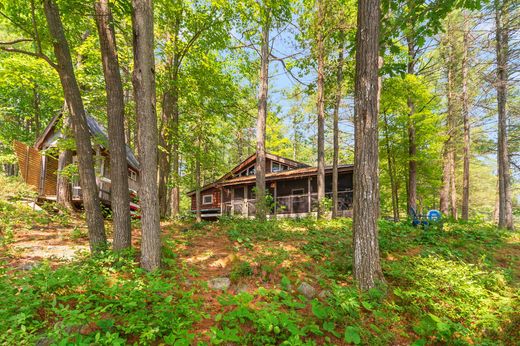 호화 저택 / Georgian Bay, District Municipality of Muskoka